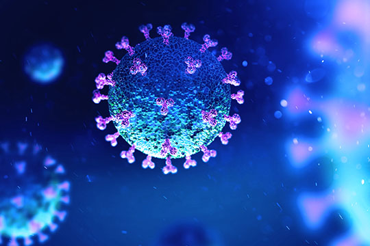 The novel coronavirus under the microscope